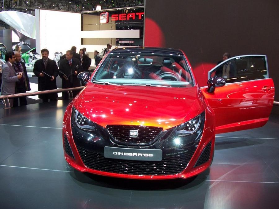  Seat SportCoupe Bocanegra 2008 года  (фото 12 из 15)